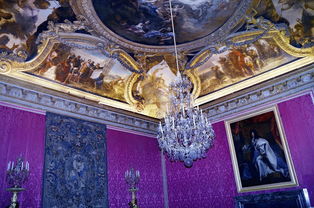 凡尔赛宫艺术风格，凡尔赛宫：艺术风格的百科全书